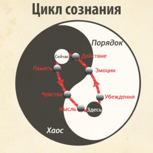 Посвящение Венца. Активация Головного Мозга.